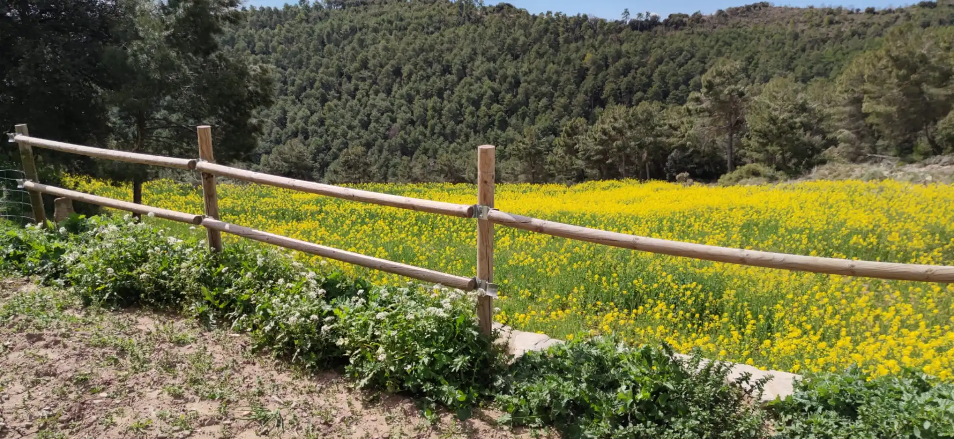 Garten von Wohnung zur Miete in Sant Mateu de Bages mit Möbliert
