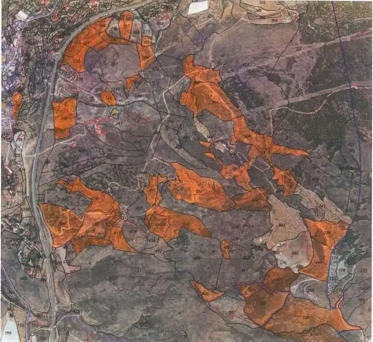 Terrain rustique à vendre à Alcolea, imagen 16