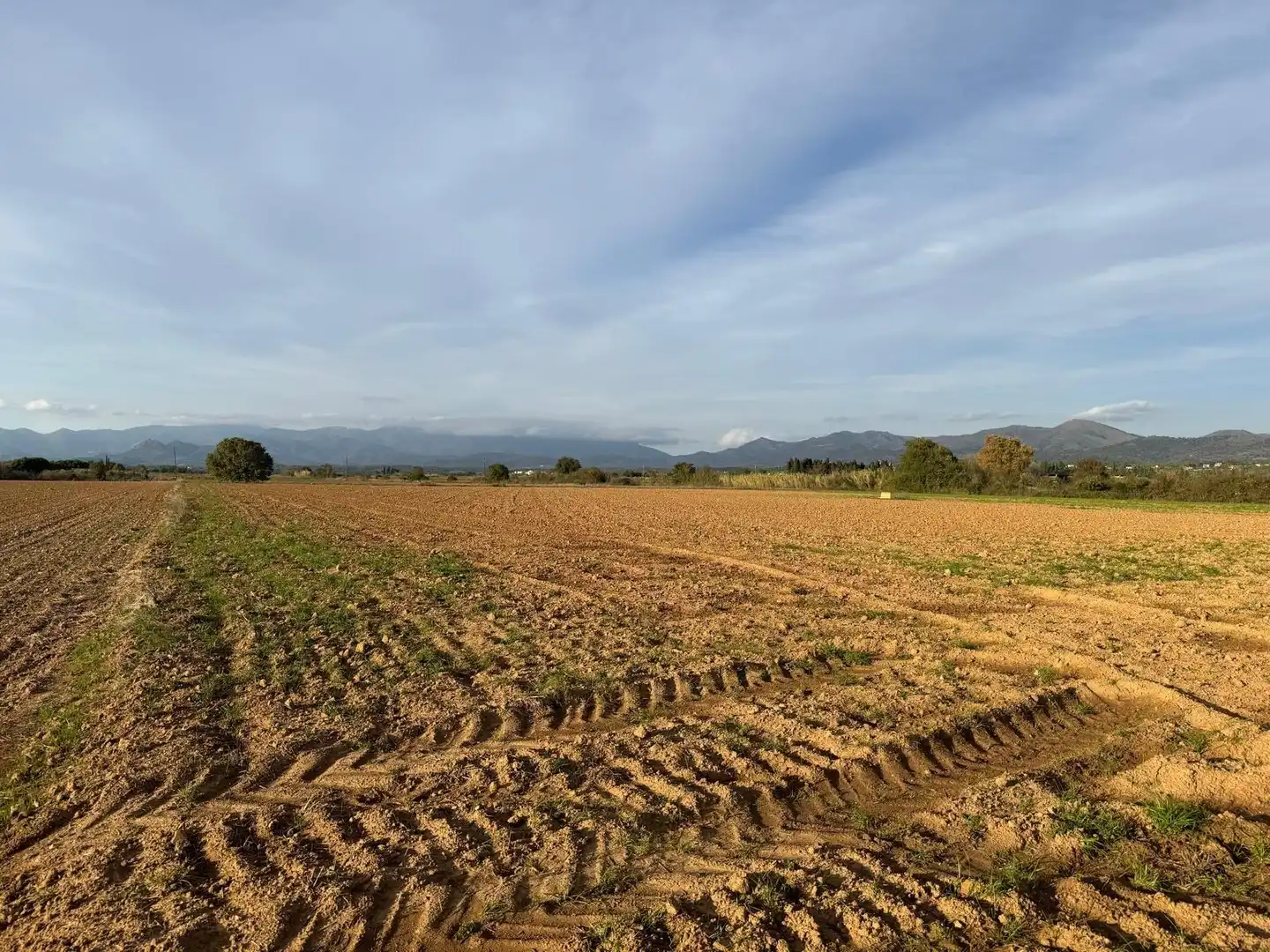 Rural land for sale in Garriguella, imagen 10