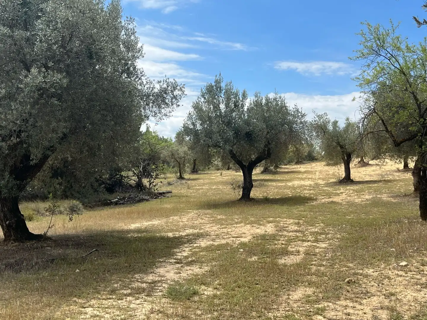 Terreni e lotti in vendita a Cretas, imagen 11