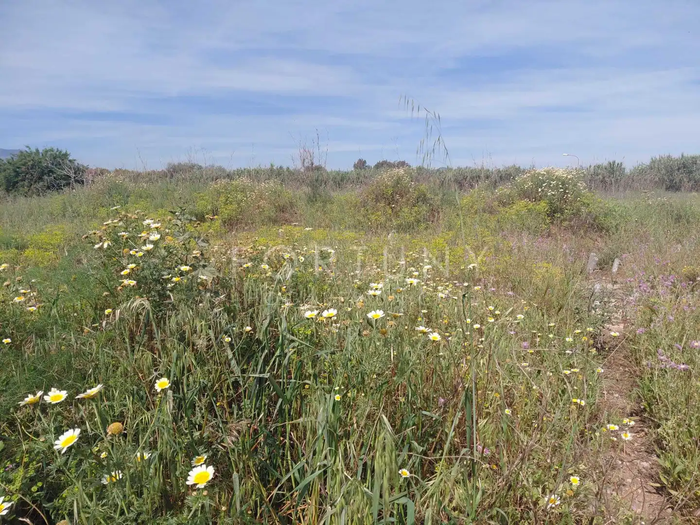 Terreno industrial en venta en Málaga