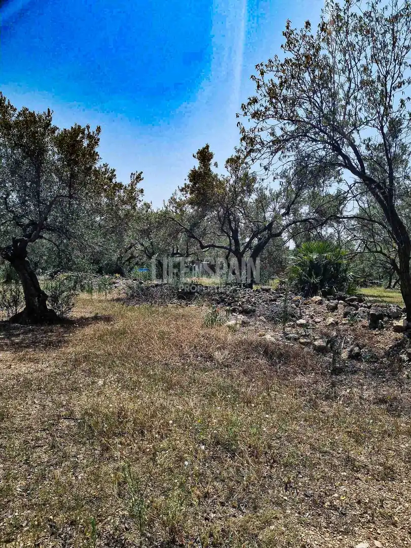 Maison rustique à vendre à Roquetes, imagen 15
