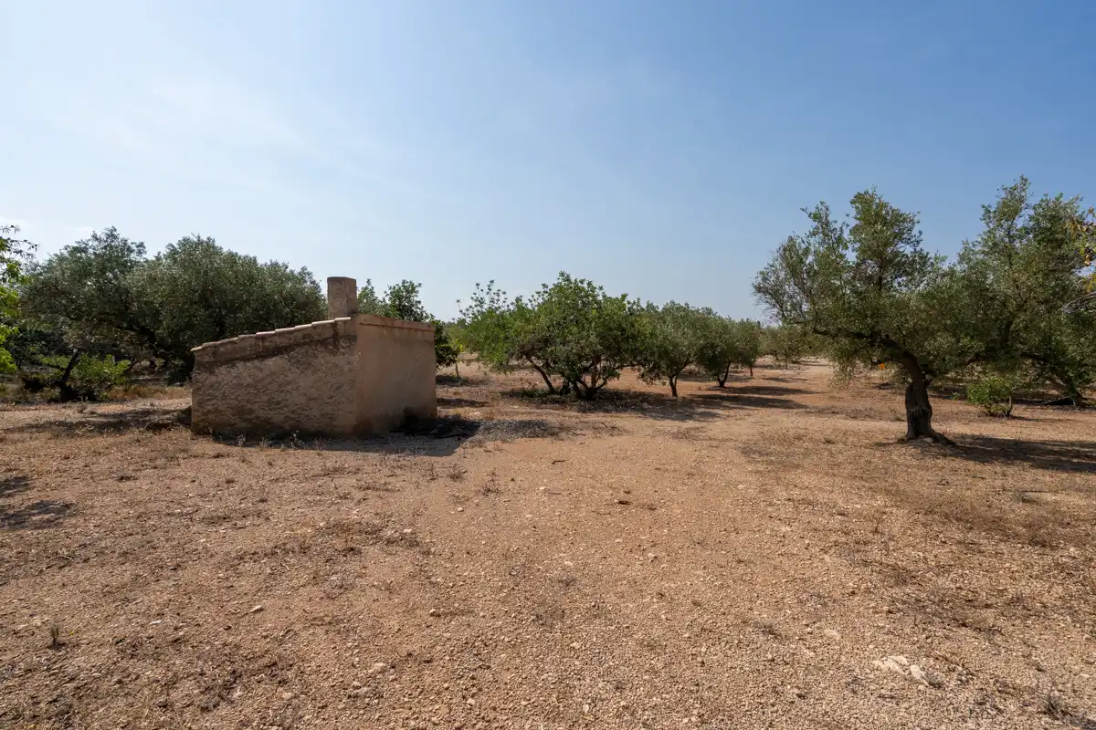 Terrain rustique à vendre à Carrer Barceloneta 15, imagen 17