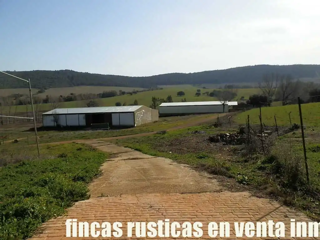 Terreny rústic en venda a Puebla de Don Rodrigo, imagen 4