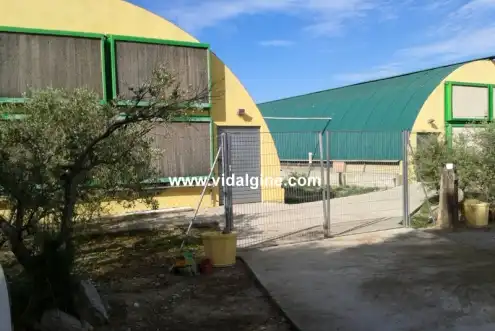Exterior view of Industrial buildings for sale in La Sentiu de Sió