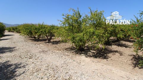 Parcela rústica en venta en Albatera Alicante, immagine 2