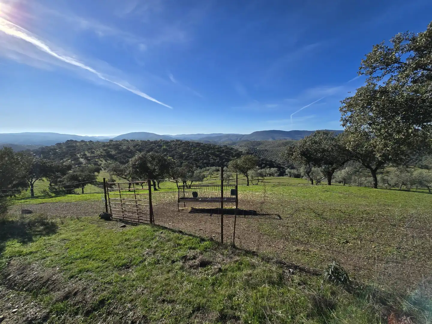 Casa rústica en venta en Pozoblanco, imagen 15