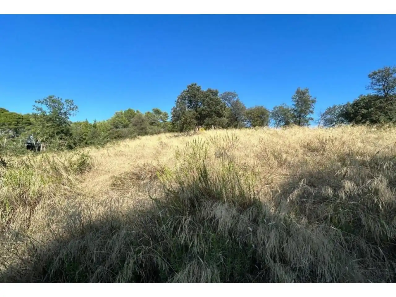 Terrain rustique à vendre à Calle Cedre, imagen 3