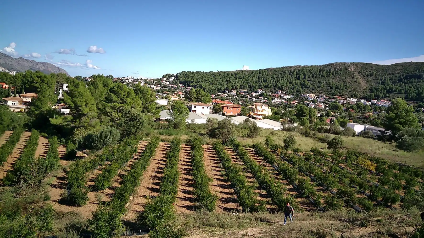 Terrenos y solares en venta en Tormos, imagen 2