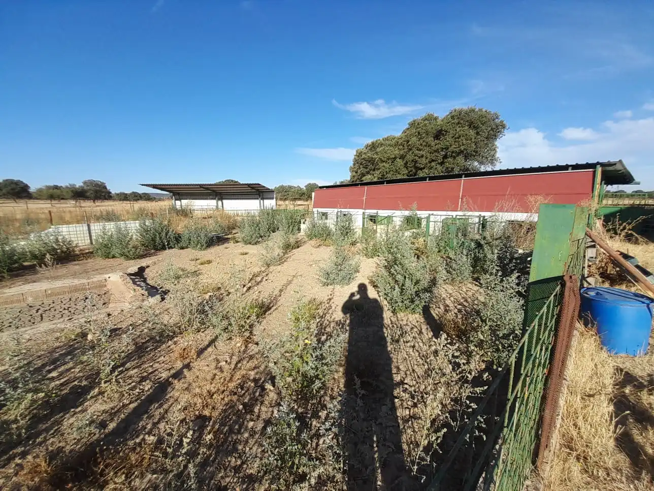 Finca rústica en venta en Almodóvar del Campo con Aire acondicionado y Calefacción