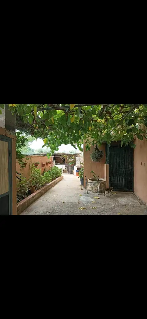 Jardín de Casa o chalet en venta en Tortosa con Calefacción, Jardín privado y Terraza