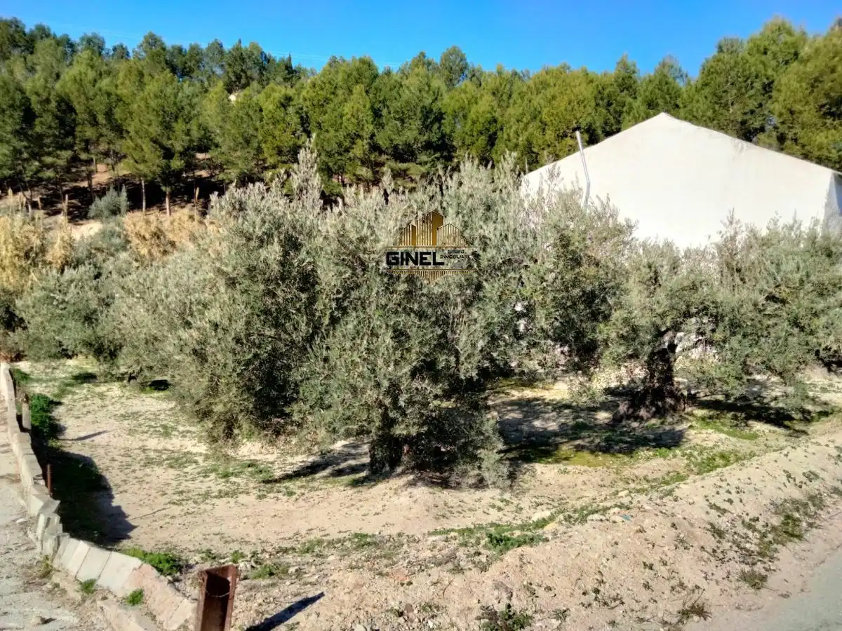 Nau industrial en venda en Jaén