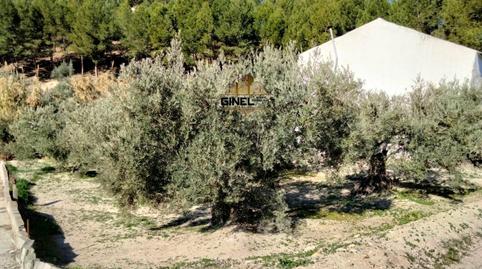 Photo 4 of Industrial buildings for sale in Puente Jontoya - Puente de la Sierra - El Arroyo,  Jaén Capital