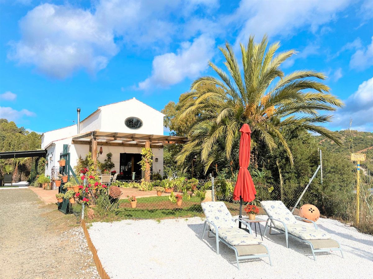 Jardí de Casa o xalet en venda en Estepona amb Aire condicionat, Jardí privat i Terrassa