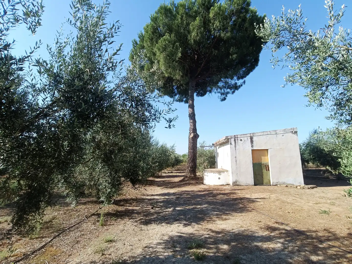 Terreni e lotti in vendita a Villanueva del Ariscal, imagen 6