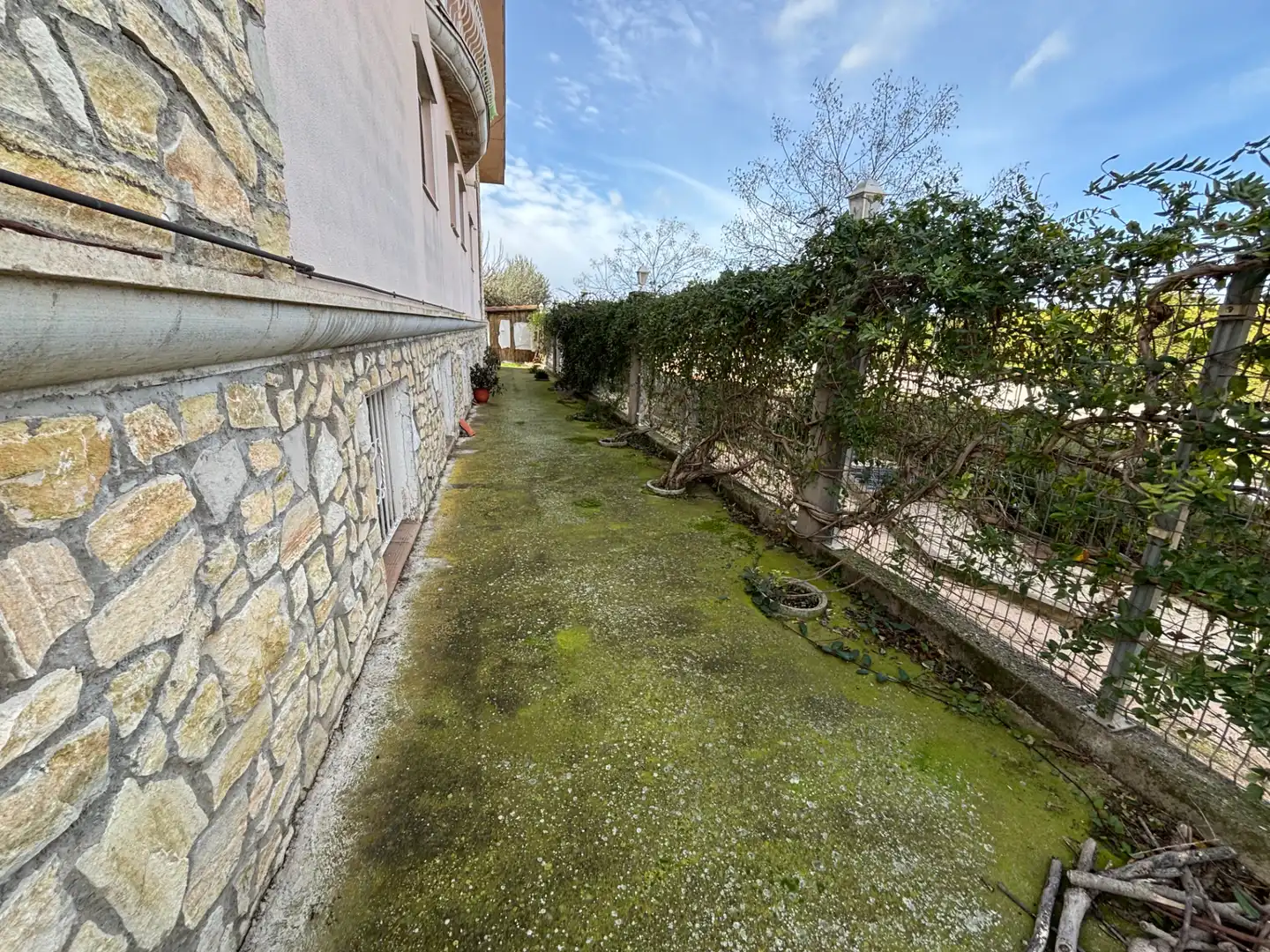 Jardí de Casa o xalet en venda en Mollerussa amb Aire condicionat, Calefacció i Jardí privat