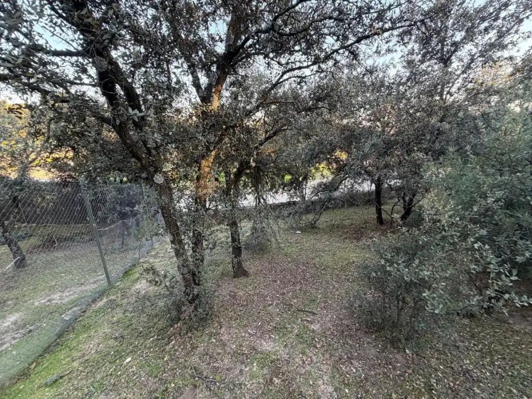 Wohnbaugrundstück zum Verkauf in Urbanización Este - Montepríncipe, imagen 5