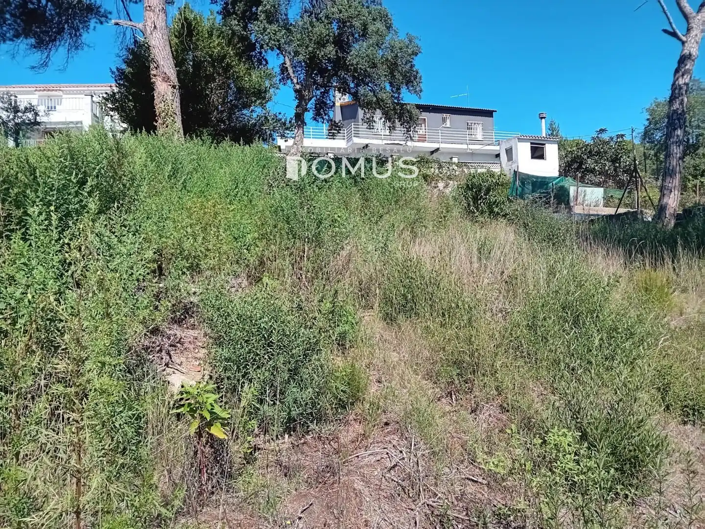 Terreno rustico in vendita a Dels Eucaliptus, imagen 8
