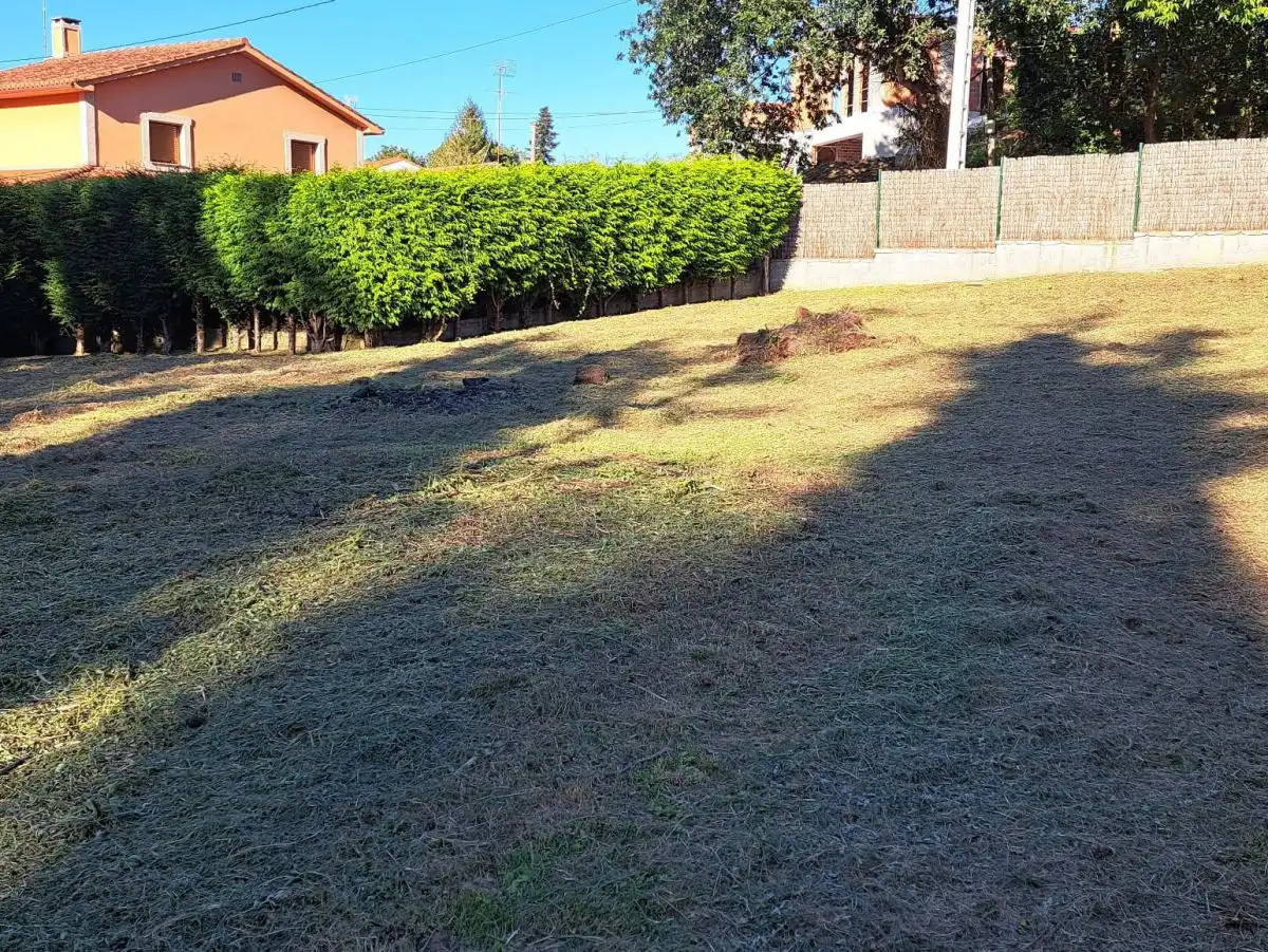 Terreni e lotti in vendita a Nós, imagen 8