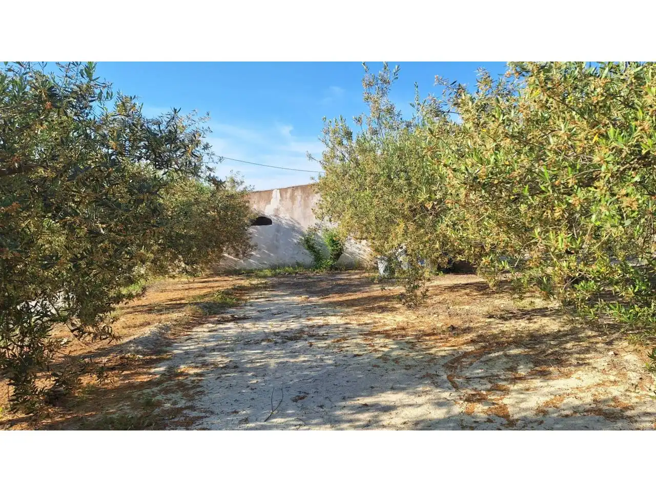 Terrain rustique à vendre à Caseta Romero, imagen 5