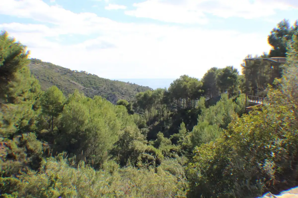 Terreno residencial en venta en Carrer BARRANCO DEL AGUA 32, imagen 10