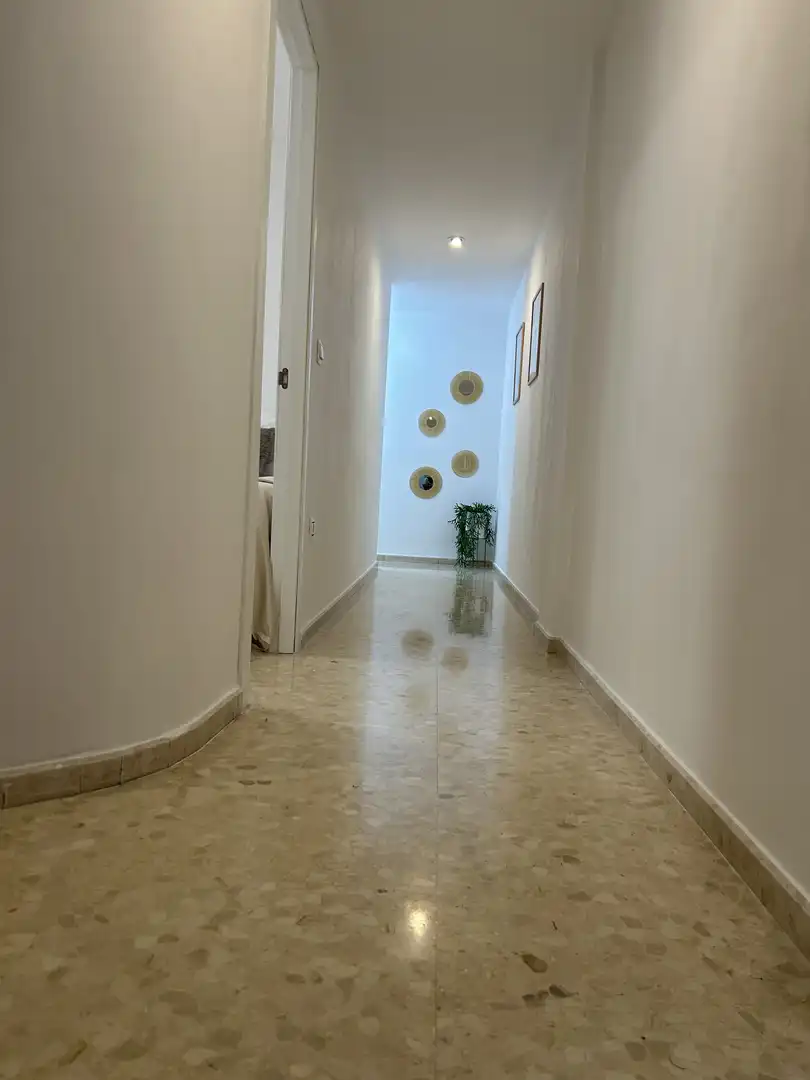 Pis de lloguer en Oliva