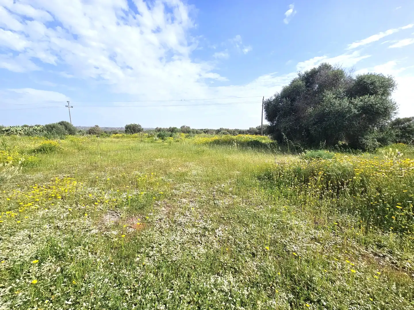 Land for sale in  Palma de Mallorca