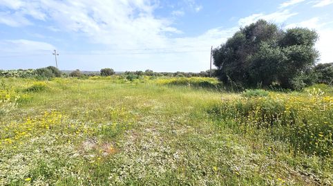 Photo 2 of Land for sale in Sant Jordi, Palma de Mallorca