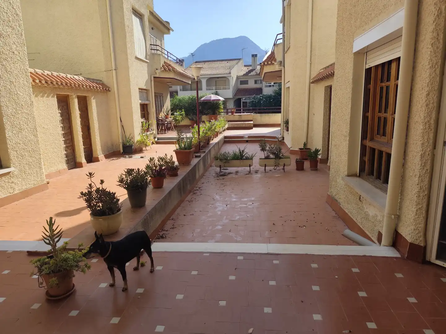 Casa a schiera con terrazza in vendita a Calle Gerardo Diego 4, imagen 38