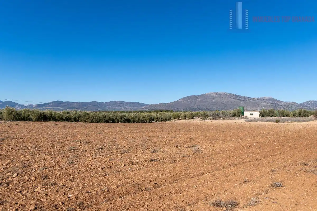 Terreni e lotti in vendita a Pago cortijo de las Monjas Parcela 19, imagen 37