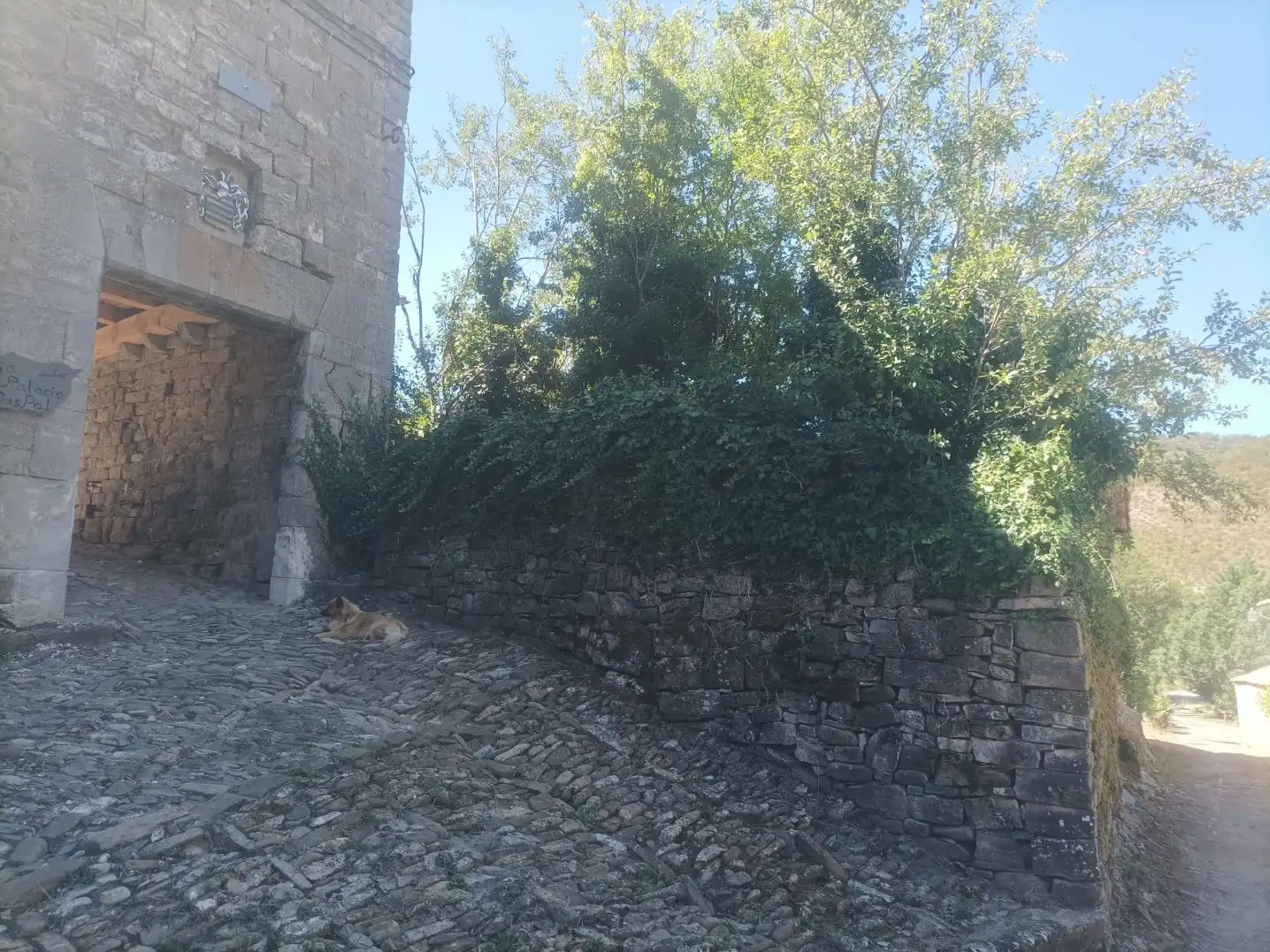 Haus mit Garten zum Verkauf in Calle San Salvador 6, imagen 3