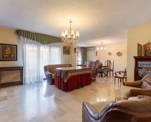 Living room of Flat for sale in  Granada Capital  with Terrace