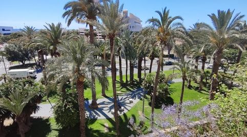 Foto 3 de Piso en venta en Ensanche - Diputación, Alicante / Alacant