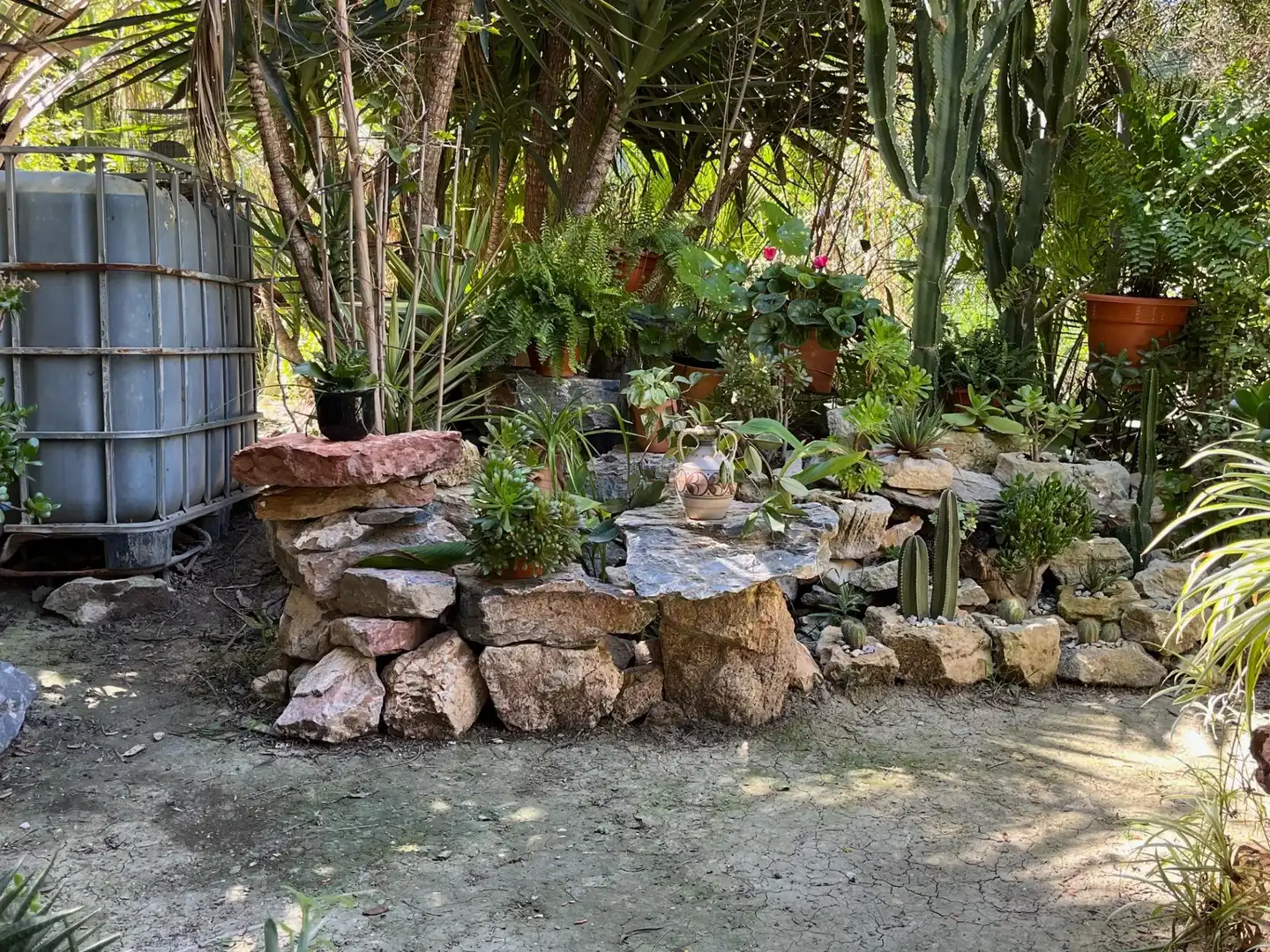 Jardín de Finca rústica de alquiler en Catral con Jardín privado