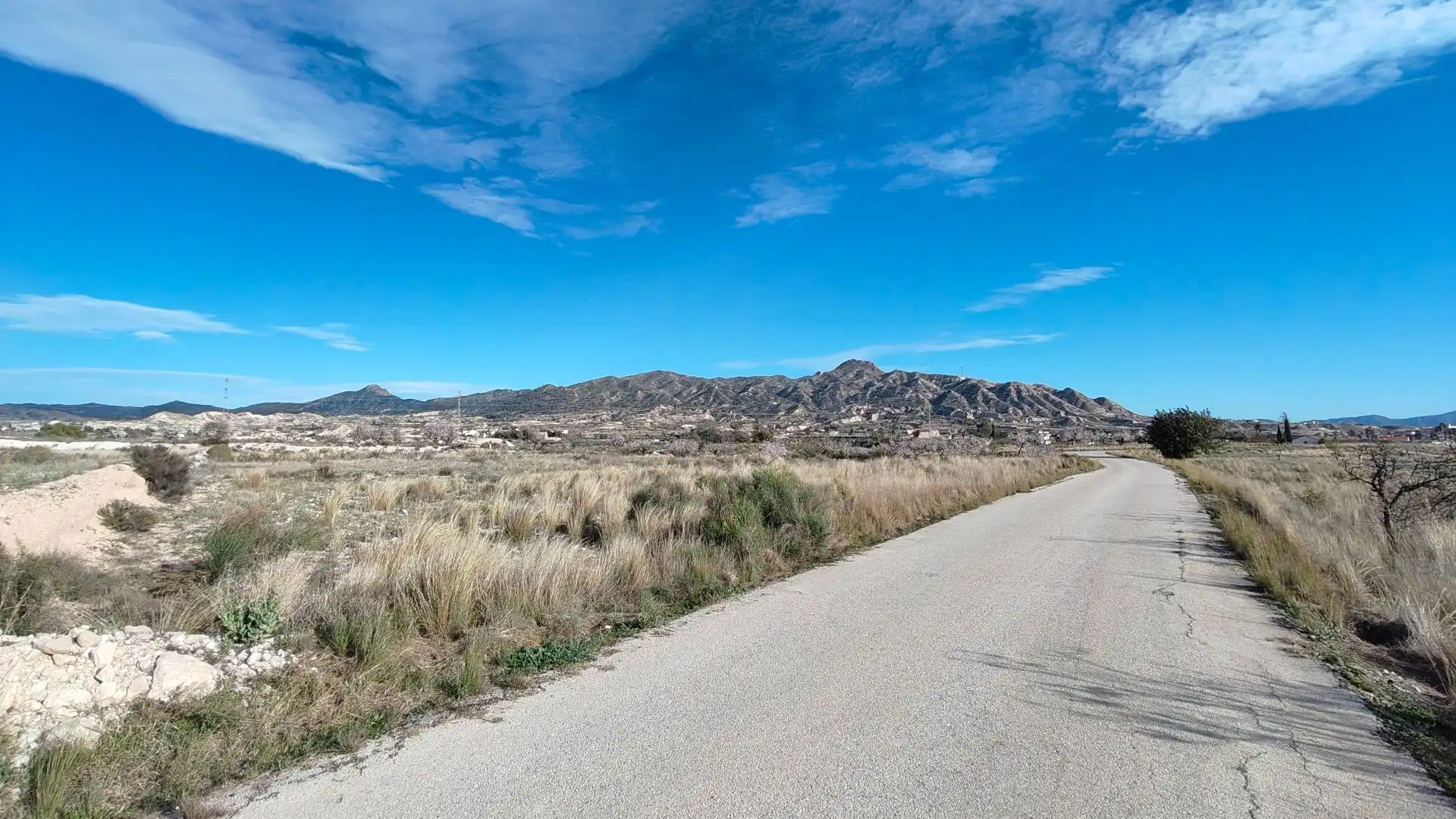 Lands and plots for sale in Abanilla
