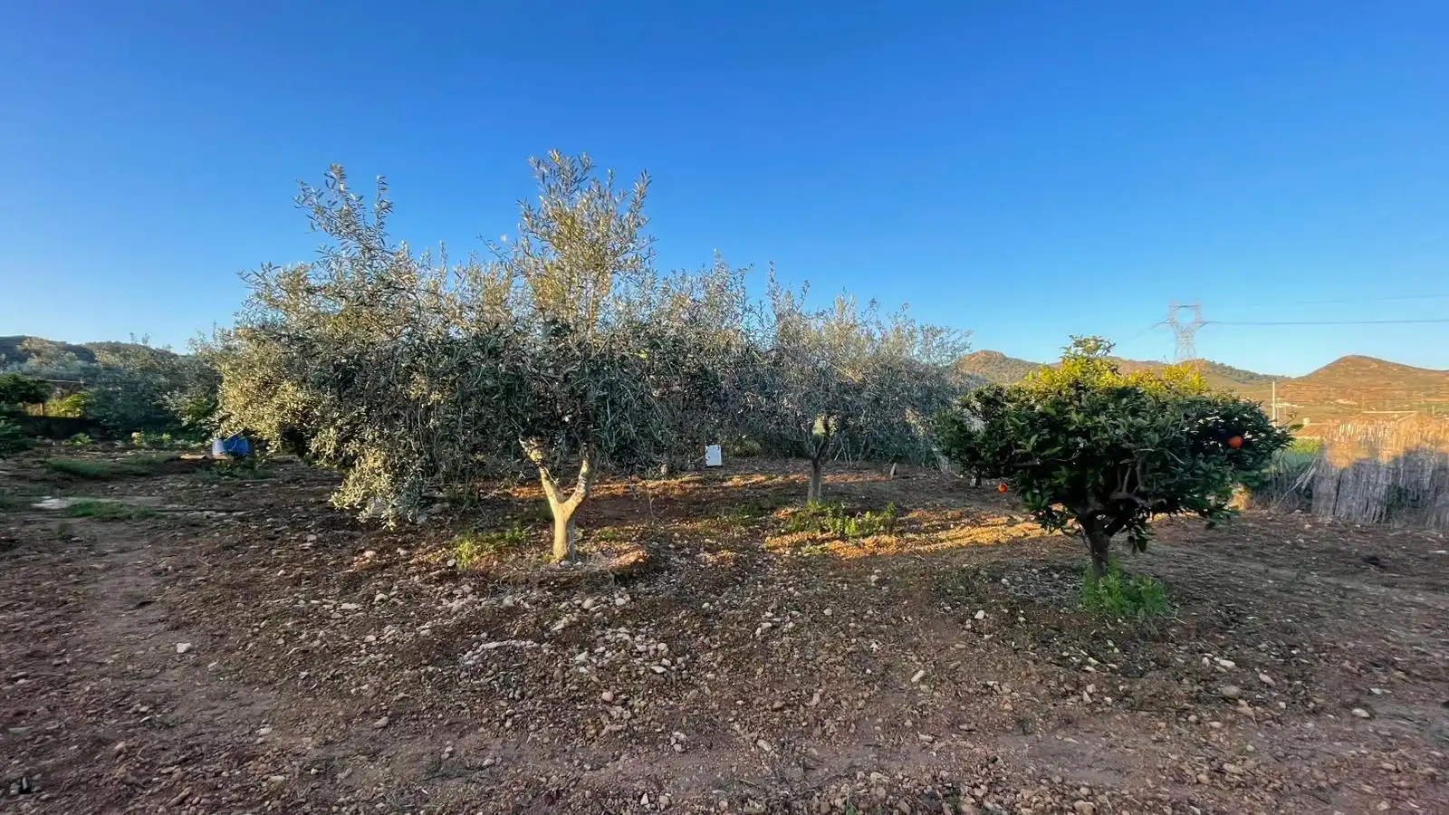 Casa rústica en venta en La Pinilla - Las Palas, imagen 24