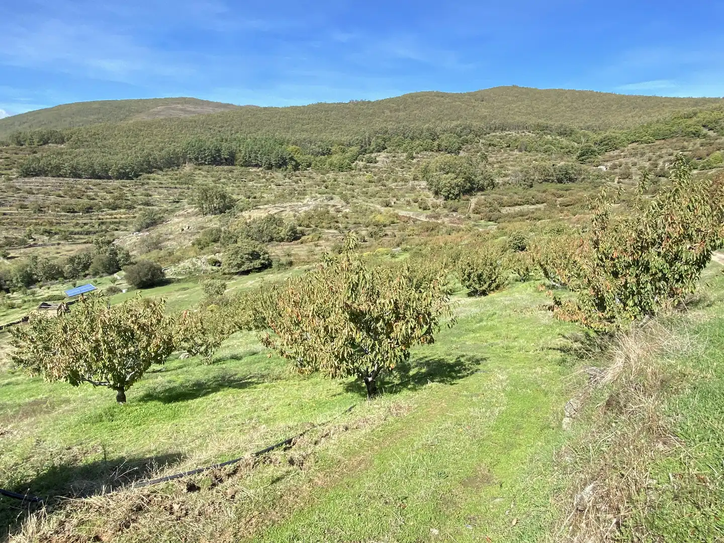 Terreni e lotti in vendita a Barrado, imagen 33