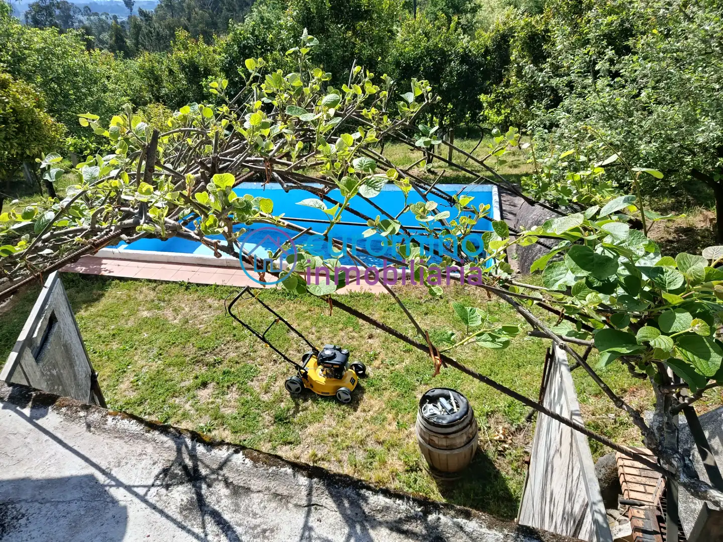 Jardín de Casa o chalet en venta en Salvaterra de Miño con Jardín privado, Terraza y Trastero