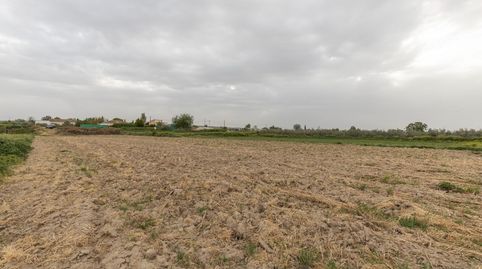 PARCELA RÚSTICA DE 3.500 M2 EN SANTA FE, immagine 2
