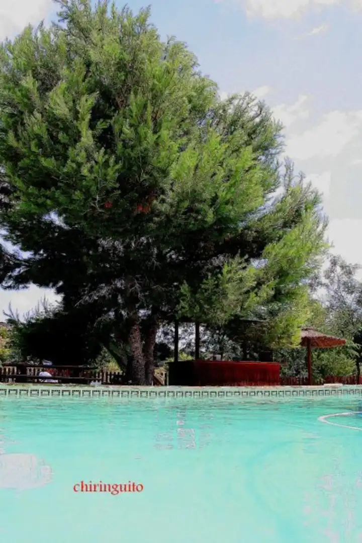 Casa rústica en venda a Campo de Murcia, imagen 28