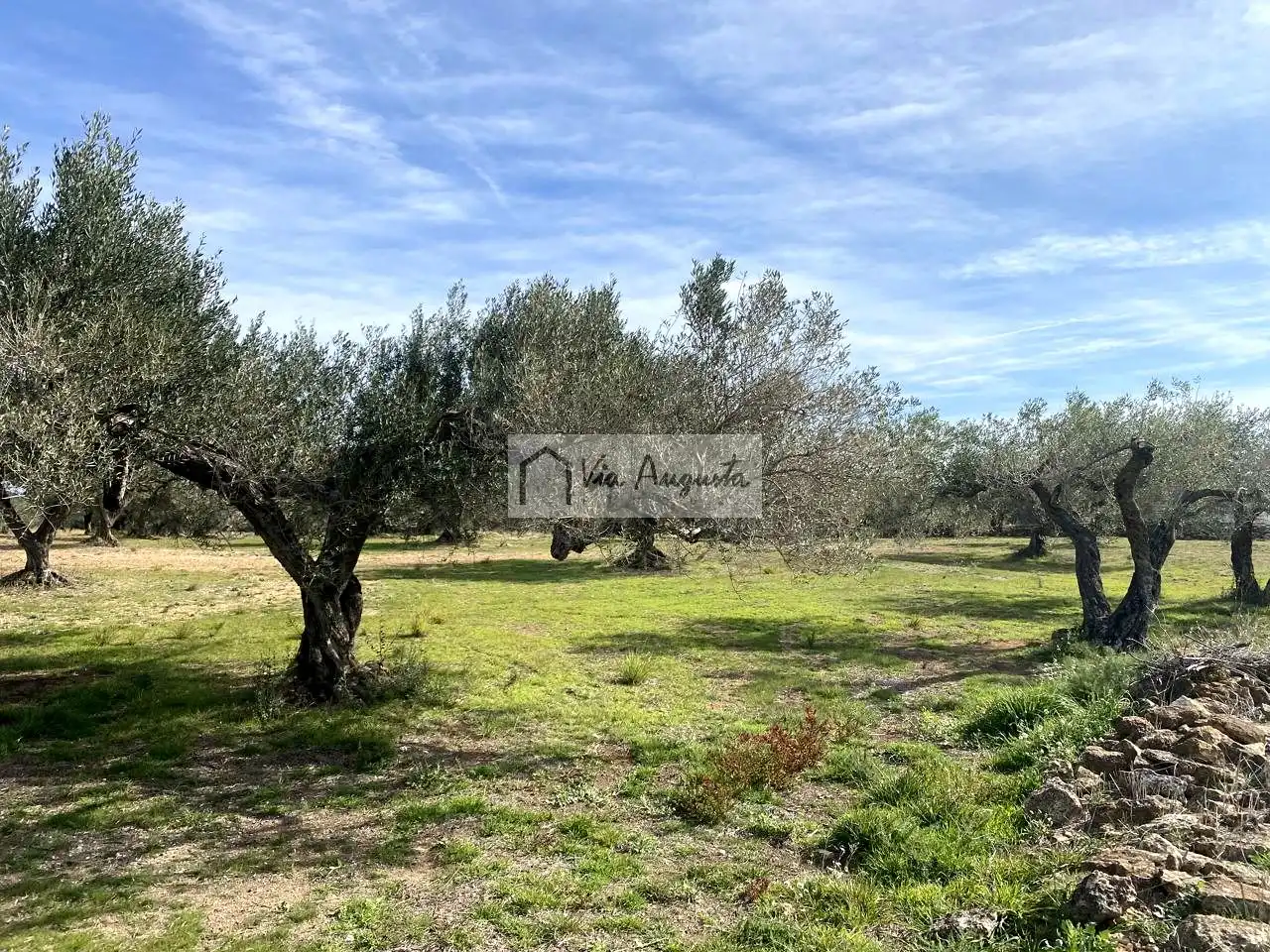 Terreno rustico in vendita a Planas, imagen 5