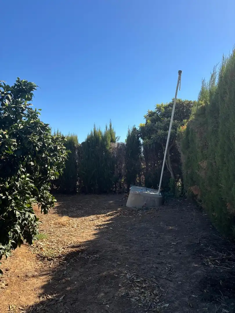 Casa rústica amb piscina en venda a Cantillana, imagen 16