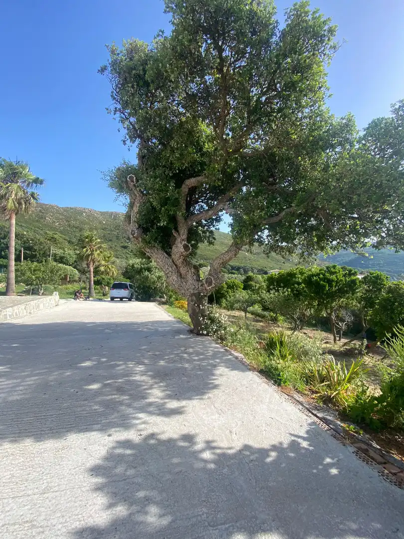 Villa con giardino in vendita a Arrabal Sector el Cuartón, imagen 21