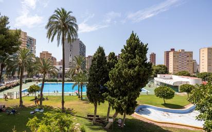 Piscina de Apartament en venda en Benidorm amb Piscina comunitària