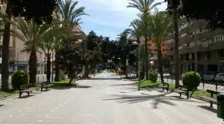 Local comercial de lloguer a Avinguda Oscar Espla 15
