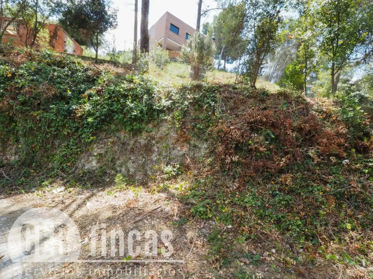 Rural land for sale in Calle Josefa Comellas, imagen 10