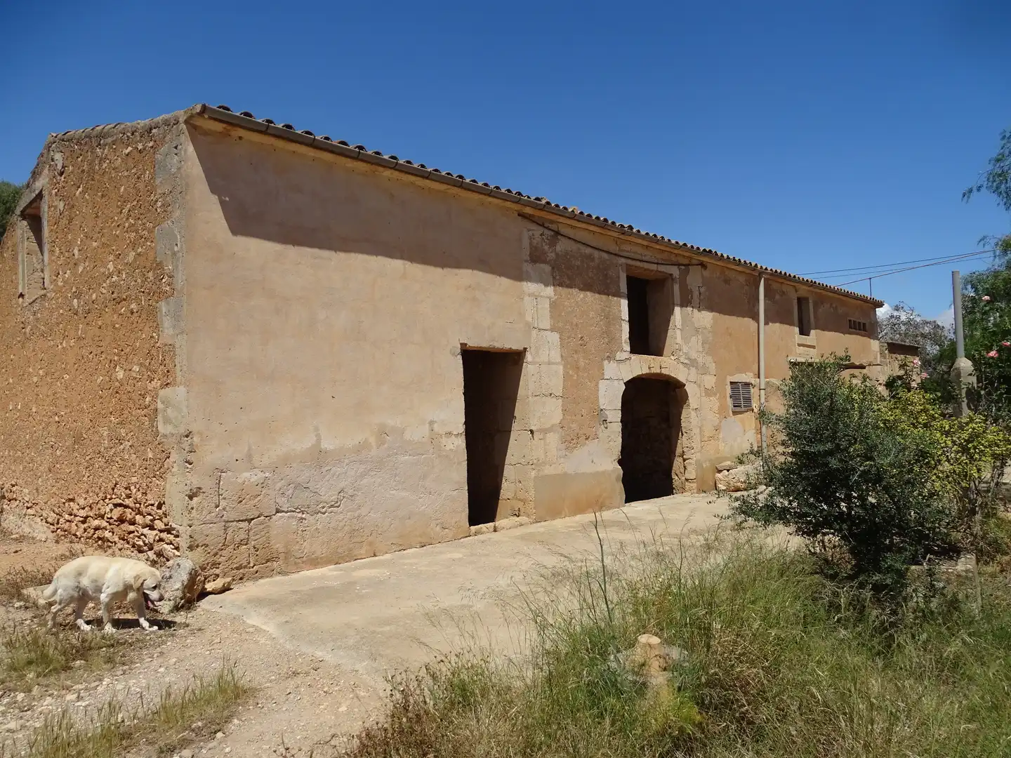 Rustikales Grundstück zum Verkauf in Zona Rústica - Interior, imagen 5