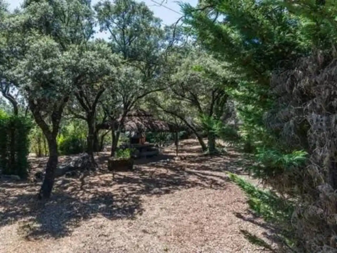 Jardí de Casa o xalet en venda en Torrelodones