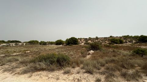 Parcela agraria de 3.476 mÂ en una excelente ubicaciÃn en La Marina, ElchePresentamos esta magnÃfica parcela agraria de 3.476 mÂ,, imatge 5