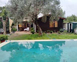 Piscina de Finca rústica en venda en Utrera amb Aire condicionat, Jardí privat i Traster